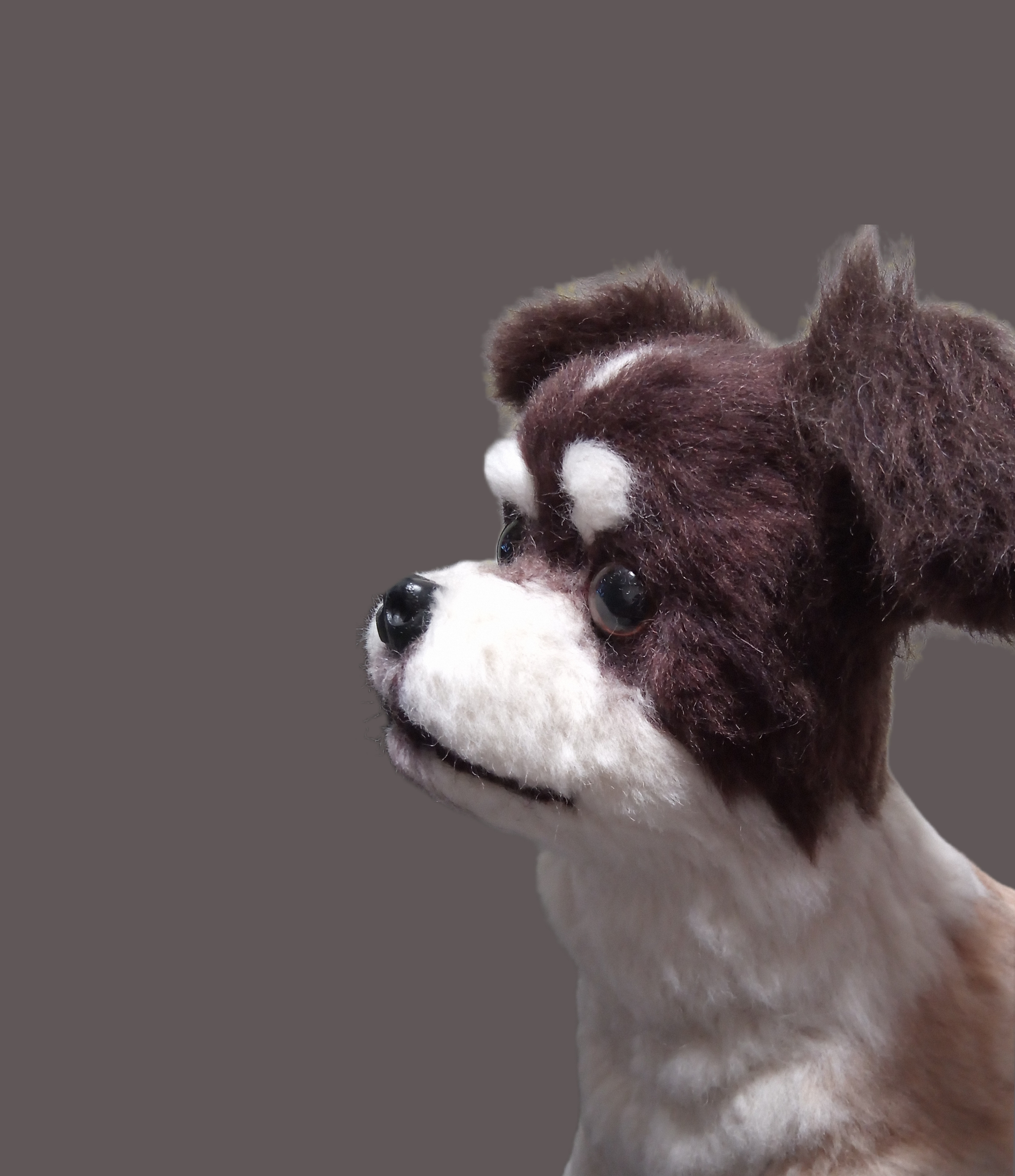 愛犬さんの羊毛フェルトオーダー・ぱんち様ご確認専用