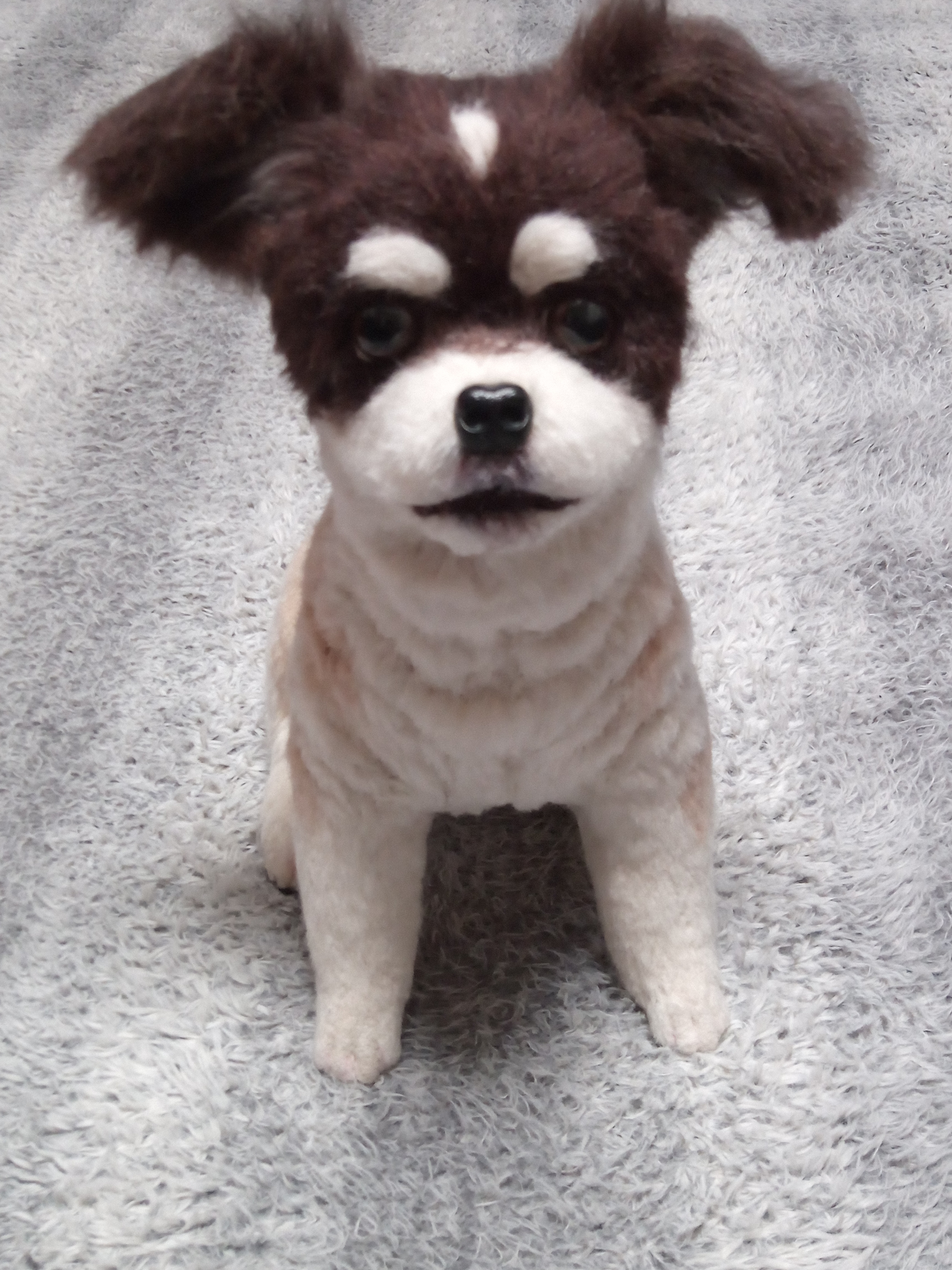 愛犬さんの羊毛フェルトオーダー・ぱんち様ご確認専用