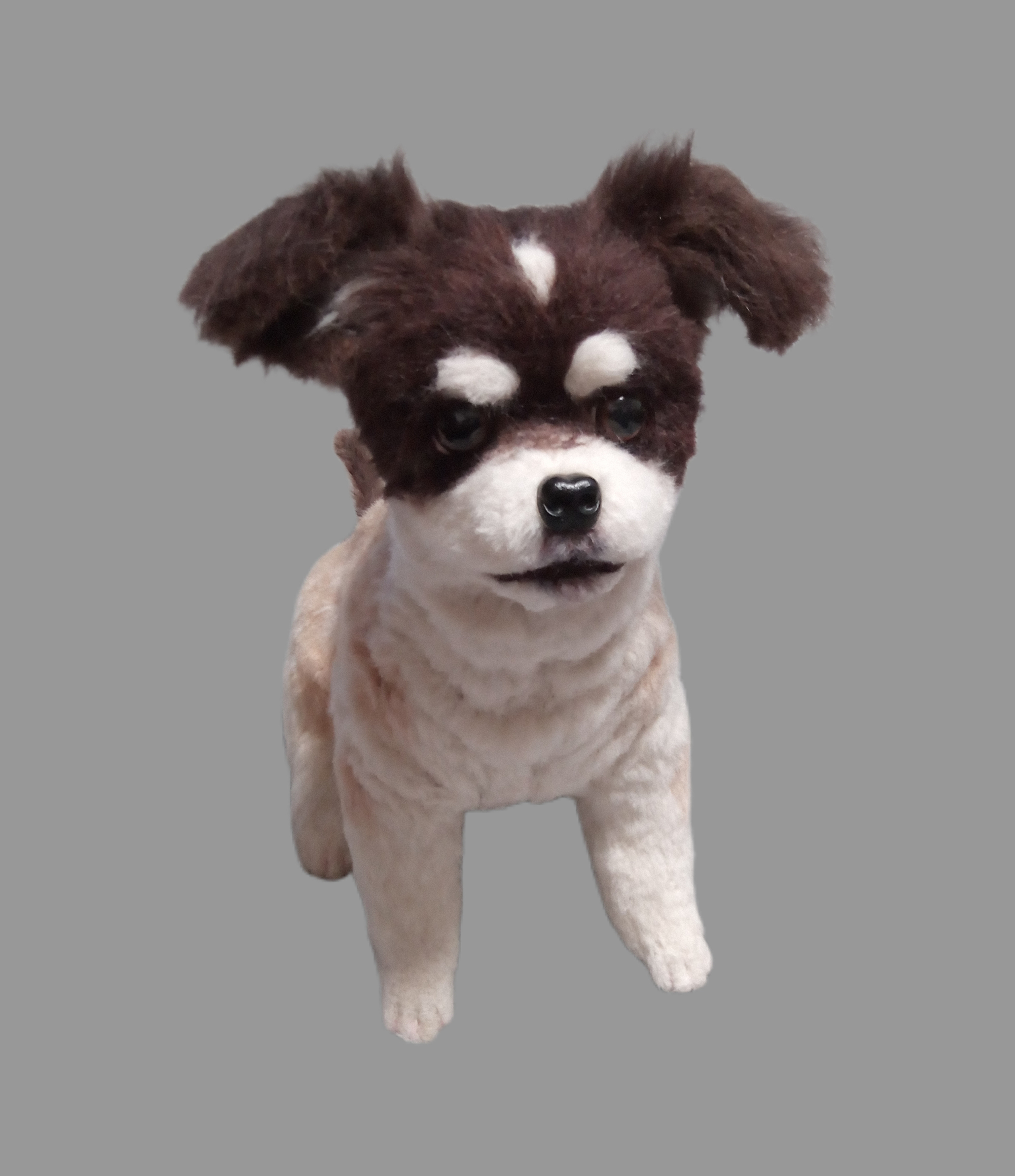 愛犬さんの羊毛フェルトオーダー・ぱんち様ご確認専用