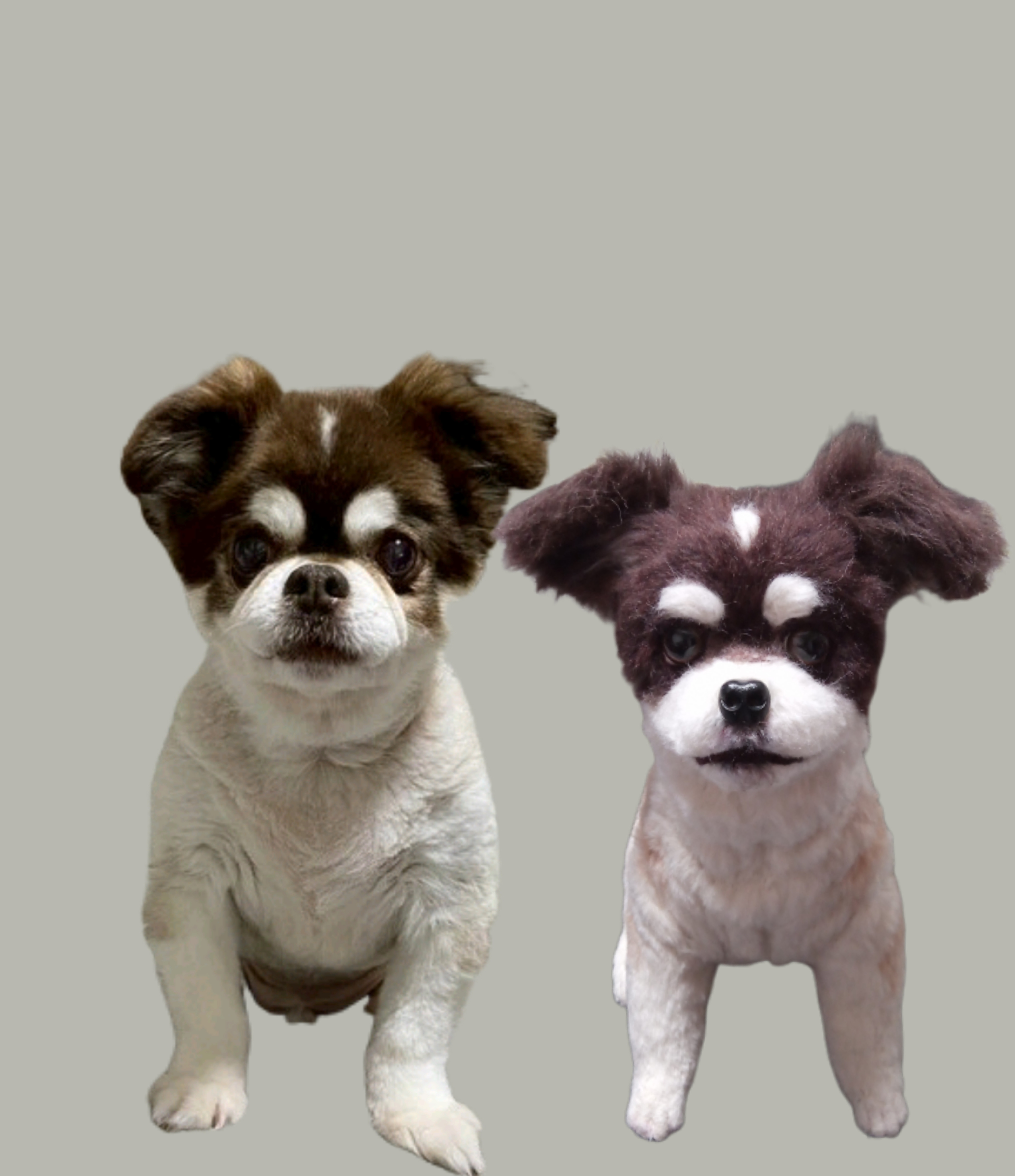 愛犬さんの羊毛フェルトオーダー・ぱんち様ご確認専用