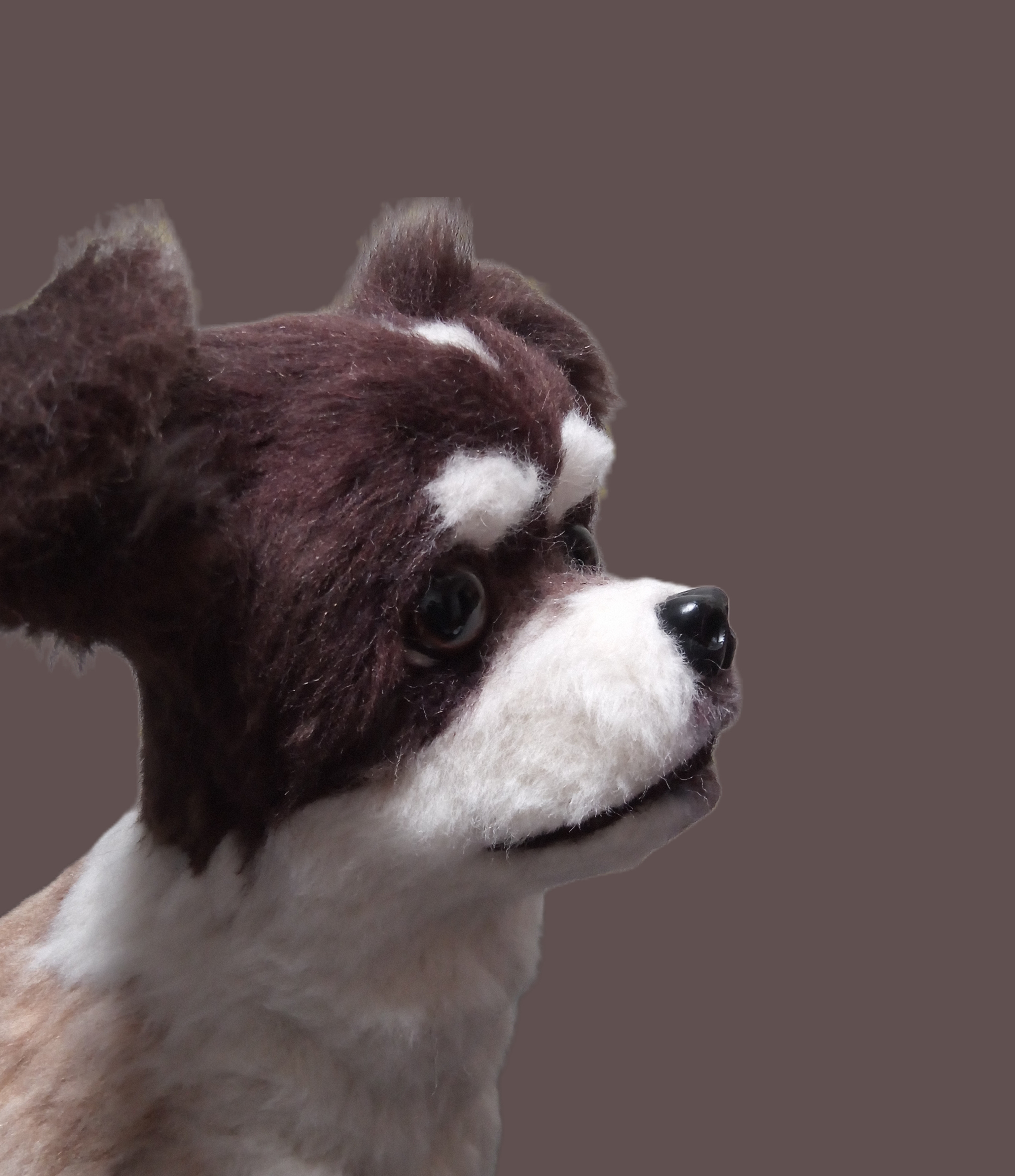 愛犬さんの羊毛フェルトオーダー・ぱんち様ご確認専用