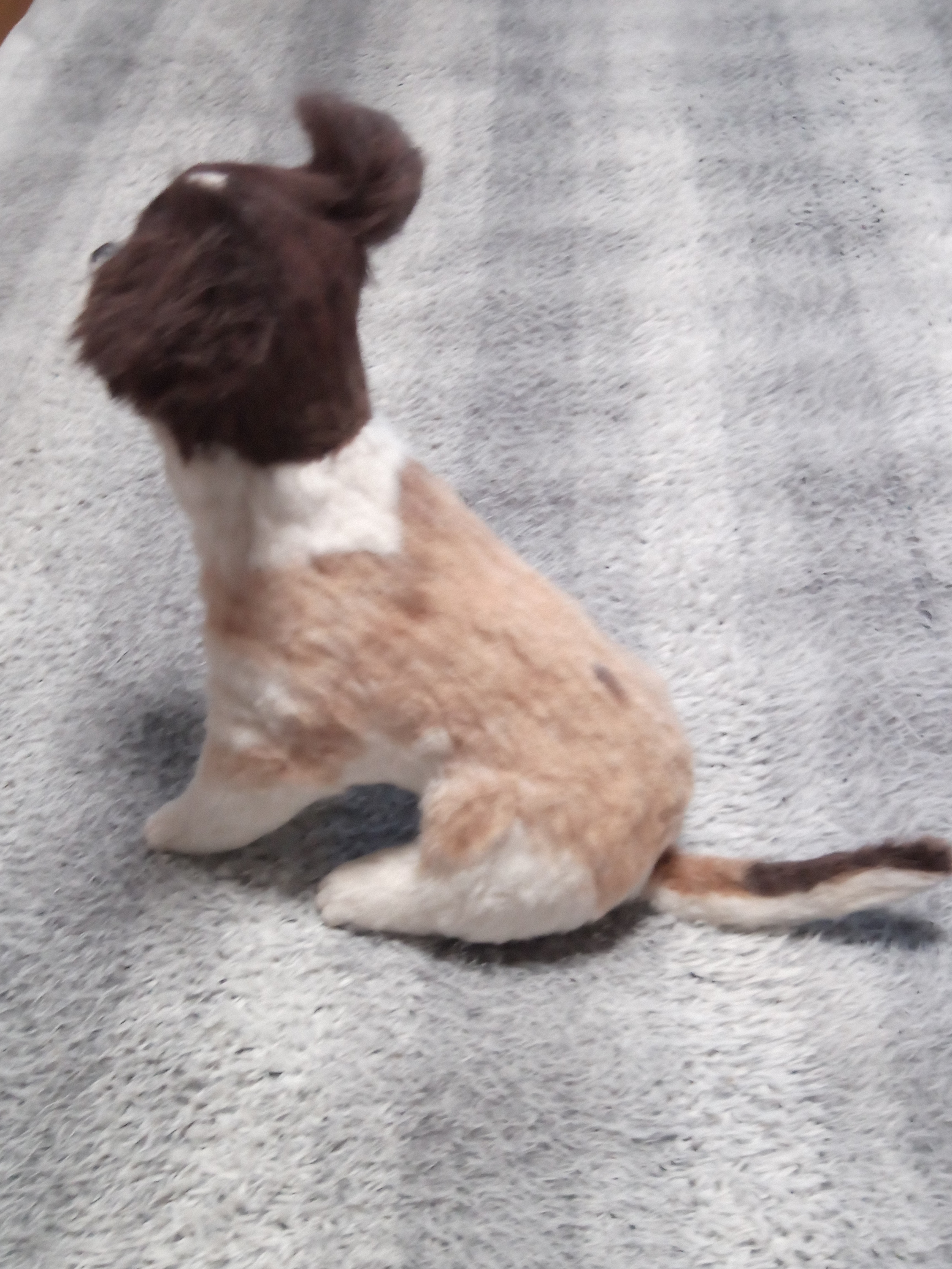 愛犬さんの羊毛フェルトオーダー・ぱんち様ご確認専用