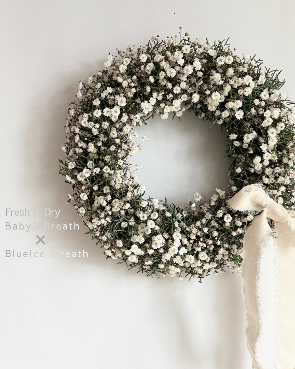 かすみ草のリース　フレッシュナチュラルリース25cm