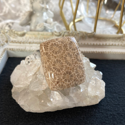 ターキッシュアゲート・スティックアゲート 天然石ルース D 天然石