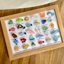 シーグラスアート☆No153 図鑑 ギフト プレゼント 父の日 海の生き物