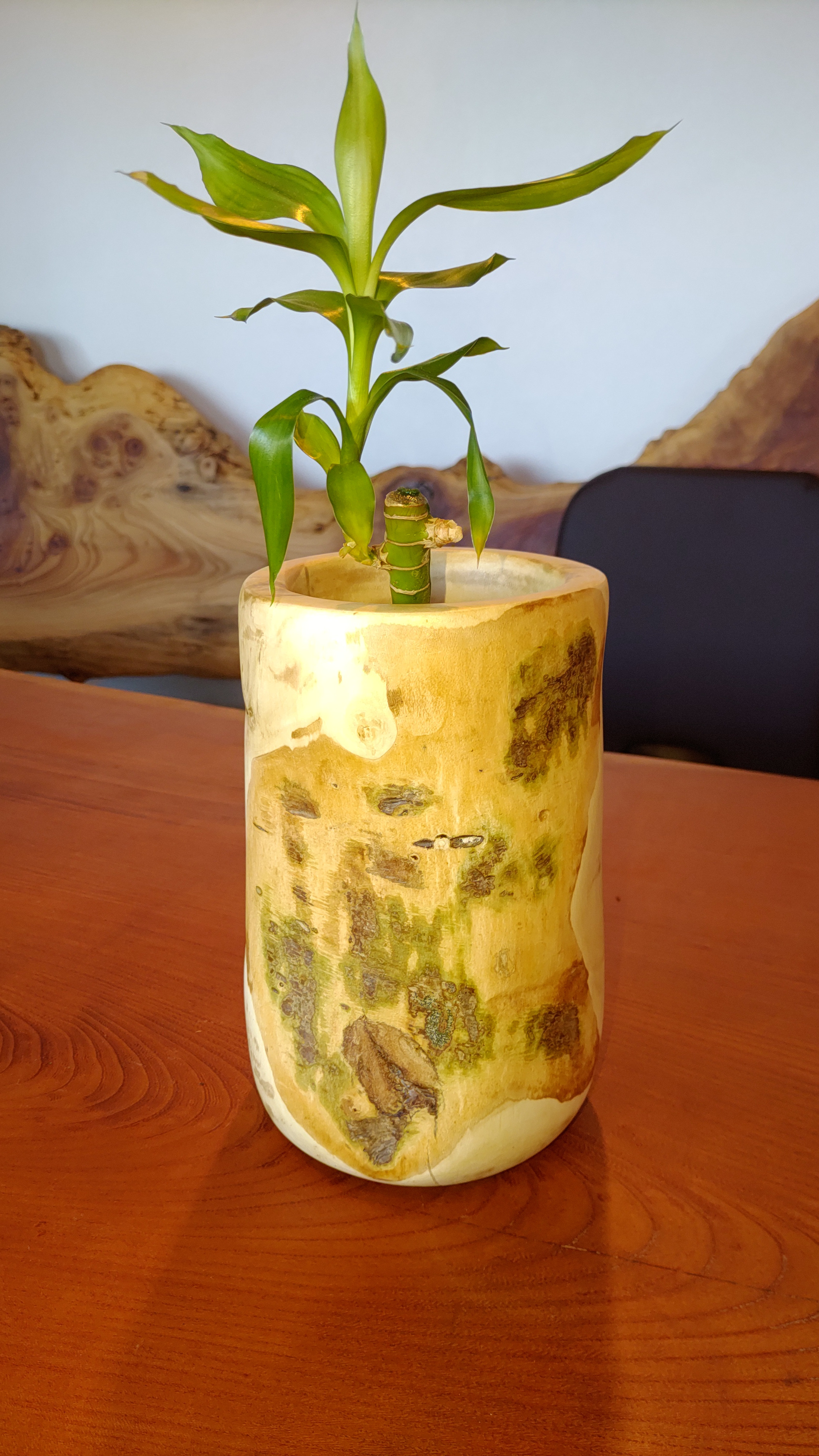 天然を生かした槙の木丸太花瓶