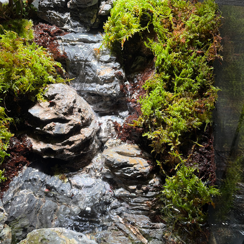 【えみゆき】大きな滝のあるアクアテラリウム 受注生産】大きな滝のあるアクアテラリウム 受注生産】滝のあるアクア