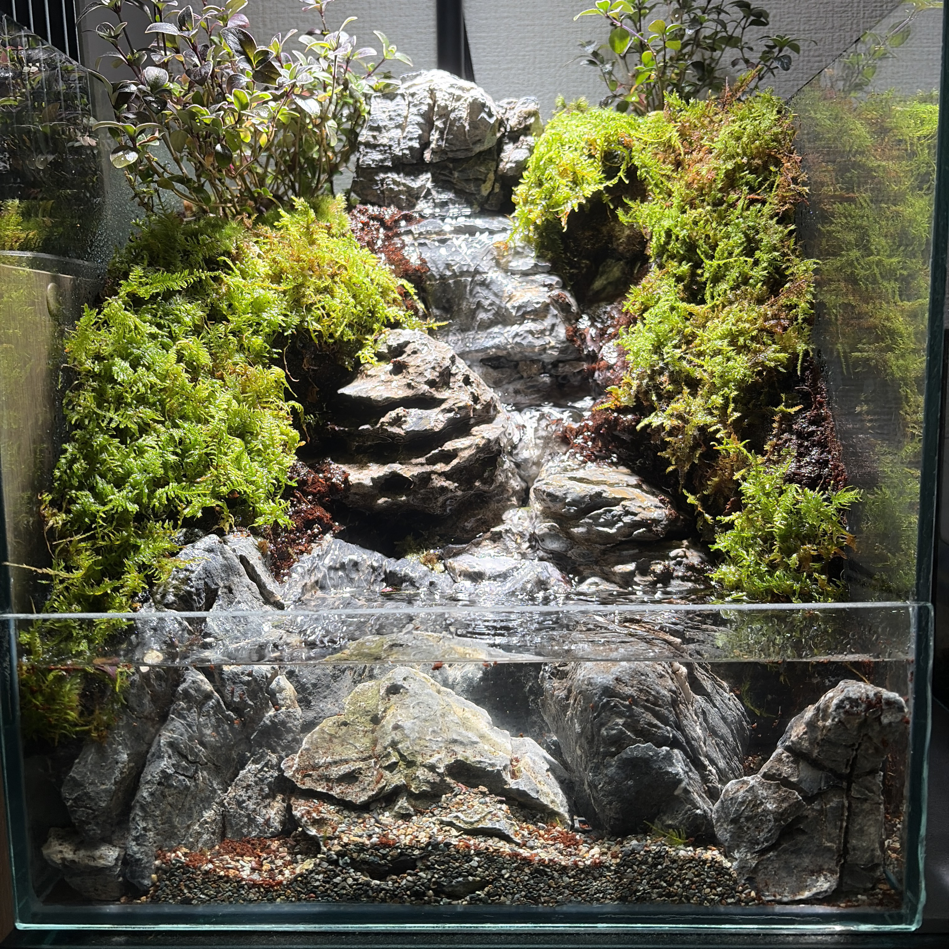 大きな滝のアクアテラリウム