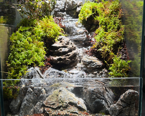 80ac43401f947a380d9c05616cbff5