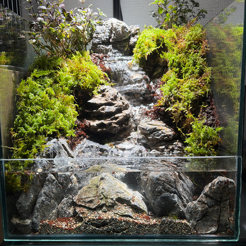 【完成品】迫力のある大きな滝のアクアテラリウム 大きな滝のアクアテラリウム テラリウム frogAndPaludarium 通販