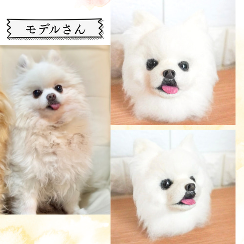 手のひらサイズ】うちの子オーダー羊毛フェルト｜写真から作る犬猫の
