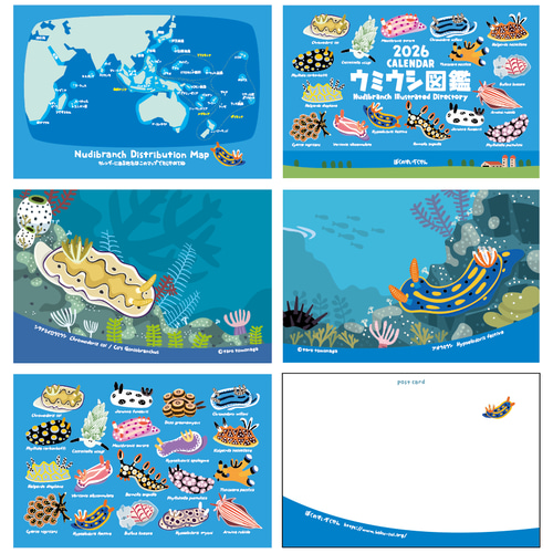 2026ウミウシ図鑑カレンダー（エコパック） カレンダー 友永たろ 通販