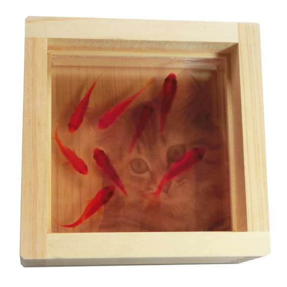 ヘッドホン 金魚 アート 楽 プリザーブドフラワー プレゼント 音楽 クリスマス ヘッドホン 金魚 アート 楽 プリザーブドフラワー プレゼント 音楽