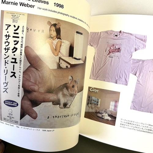 A WORK OF ART VINYL vol.13 ART of SY-II Sonic Youth / ソニックユー