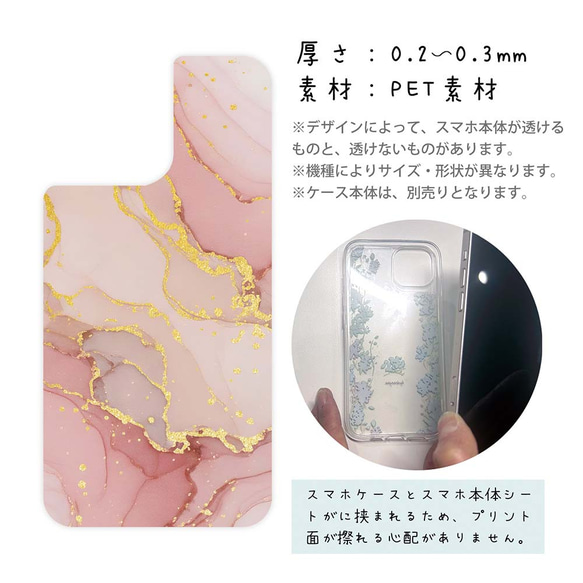  第3張的照片