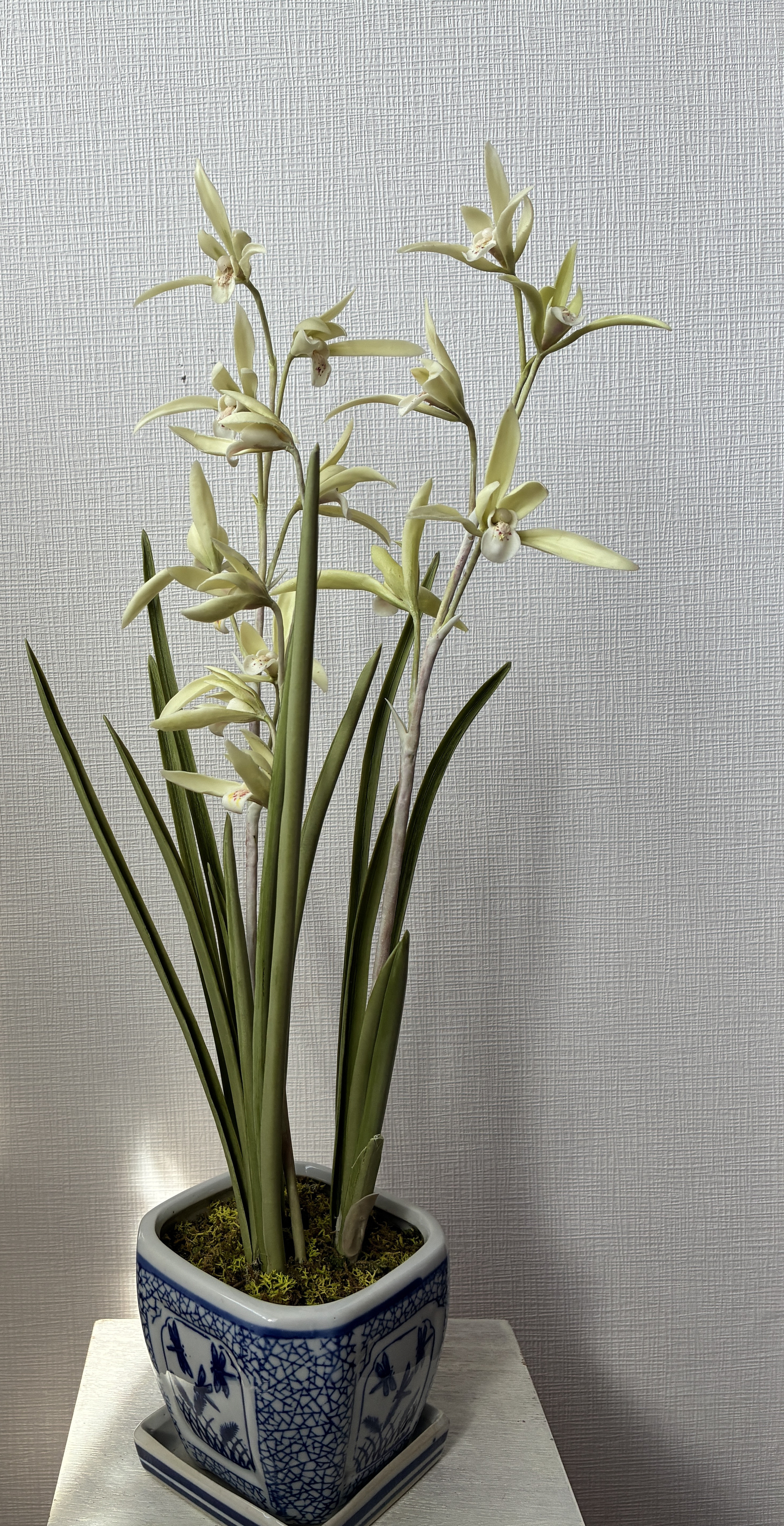 クレイの花(粘土)寒蘭