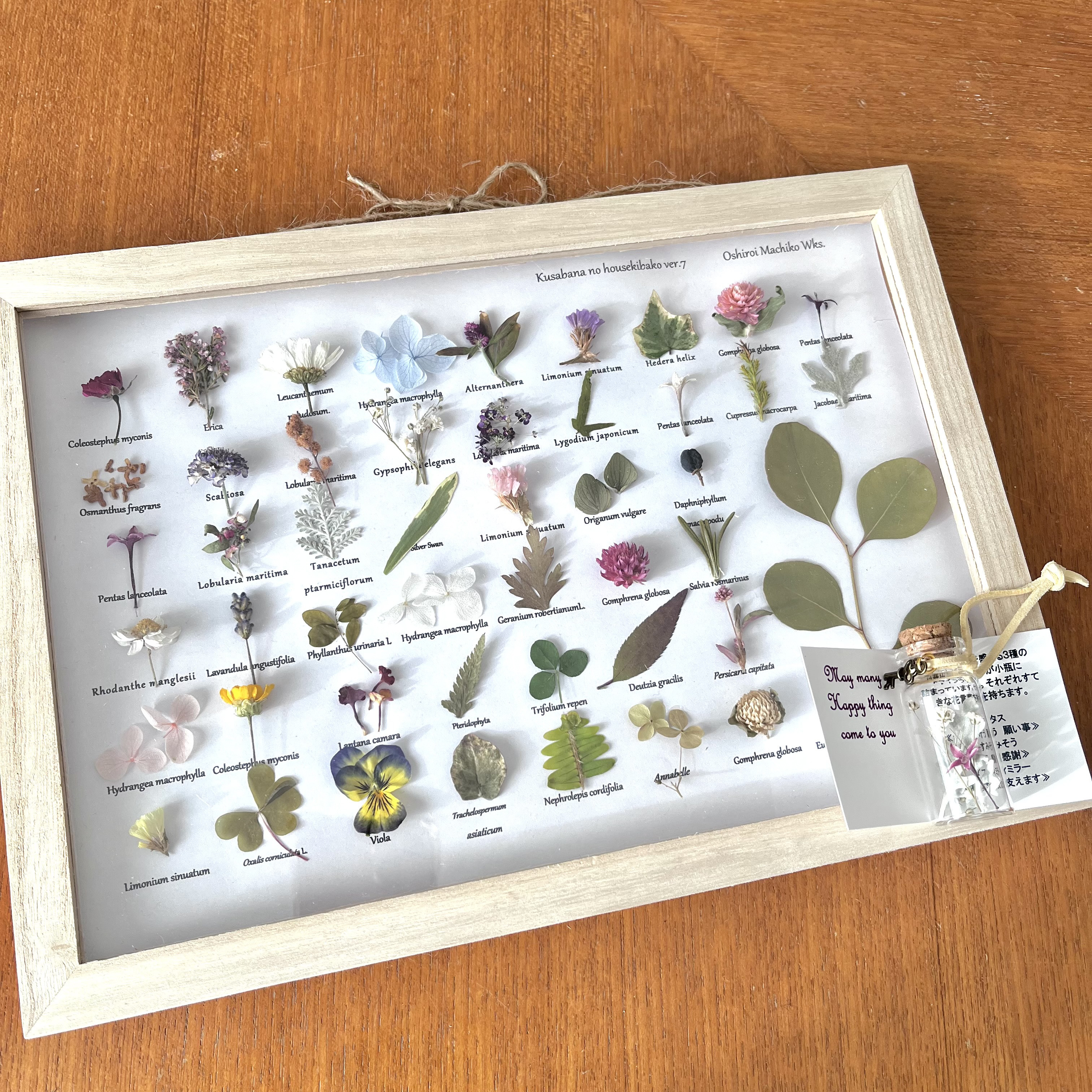 Creema限定 新春福袋2026〈梅〉：季節を閉じ込めた“小さな庭”と“幸せの鍵”の福袋　草花の宝石箱ver7 壁掛け