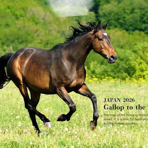 馬・No.003／「HAKU 」アートポスター　400×500 il_1080xN.6002547091_15eb.jpg