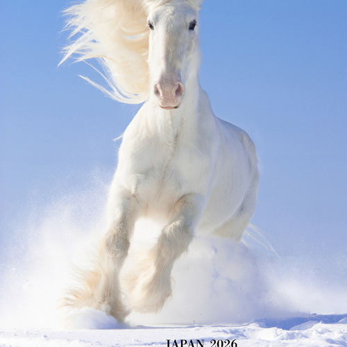 送料無料】アートポスター【雪原を駆ける白馬】はがき・A4・A3 午