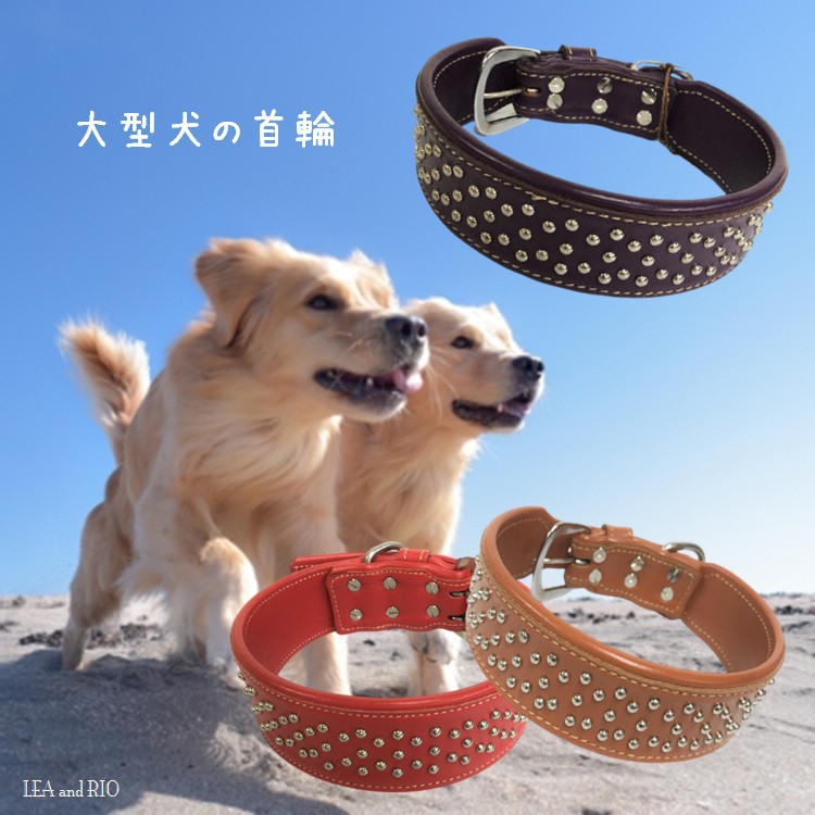 首輪 カラー スタッズ レザー 革製 中型犬 大型犬 散歩 犬服 ドッグウェア R25 R27 R30