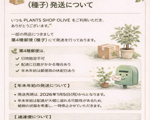 Funaki♡第4種子郵便植物は週末発送ページ 年末年始の第4種郵便（種子）発送についてのご案内 その他インテリア