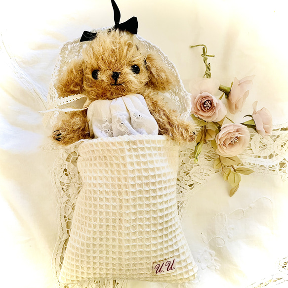 プードル好きさんのためのアンティークレースを纏ったテディプードル　テディベア プードル好きさんのためのアンティークレースを纏ったテディプードル