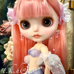 木製クローゼット アイシードール ブライス ミニチュアクローゼット