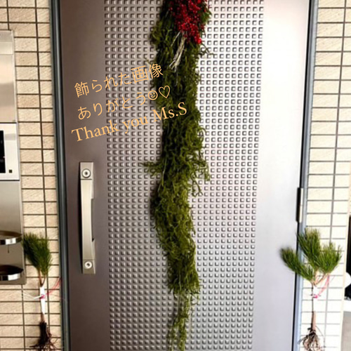 12/27-29発送分限定‼︎ ＜【単品】根引松飾り〜門松(レギュラー