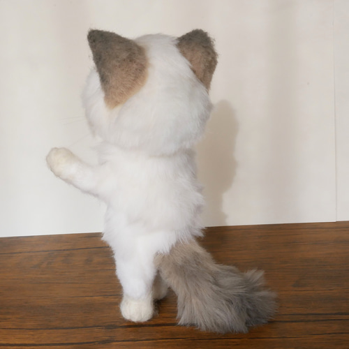 シャム猫の着せ替えアートドール その他人形 malta 通販 20252345