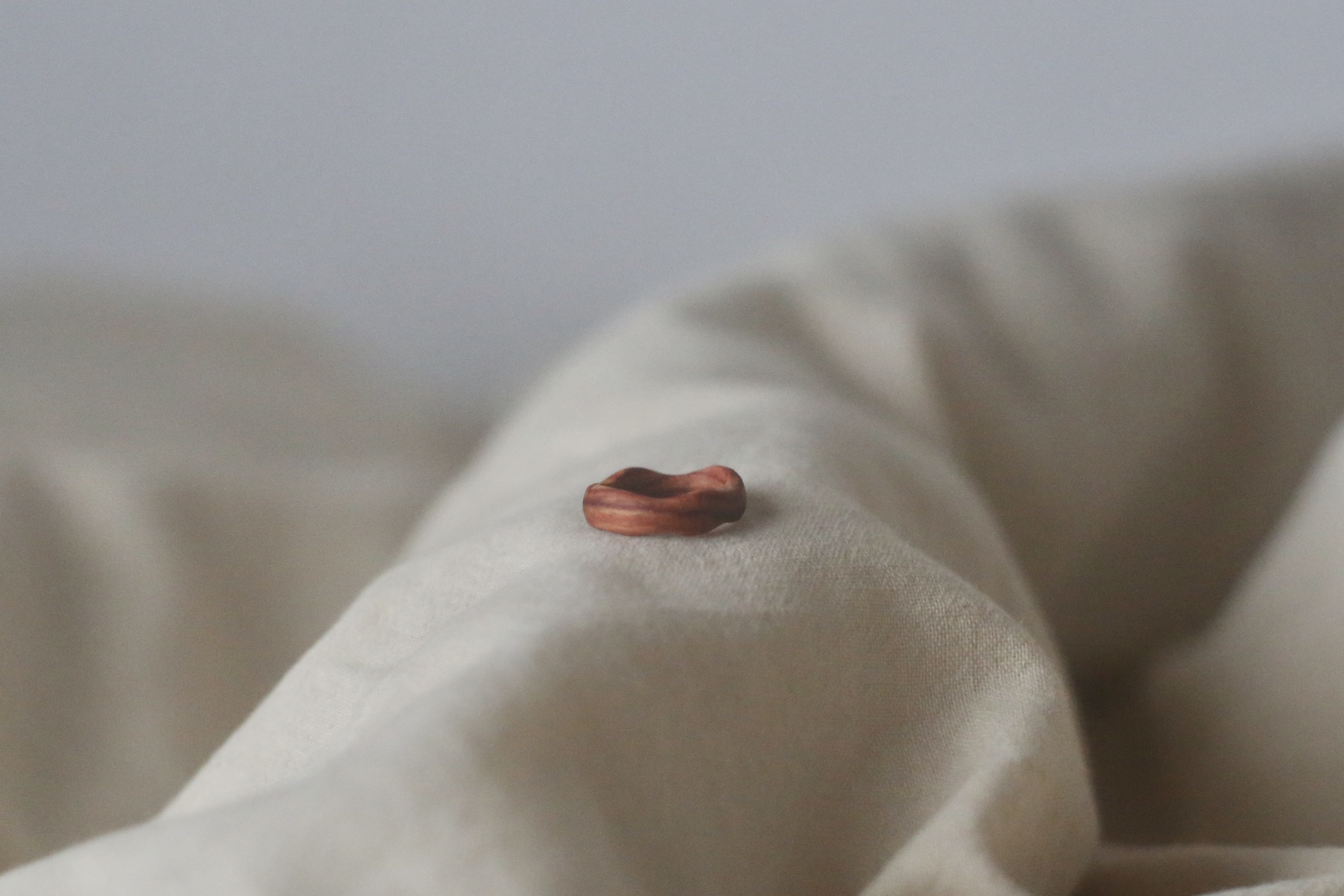 【 Wood ring チューリップウッド 】プレゼントやご褒美、金属アレルギーの方にもおすすめ