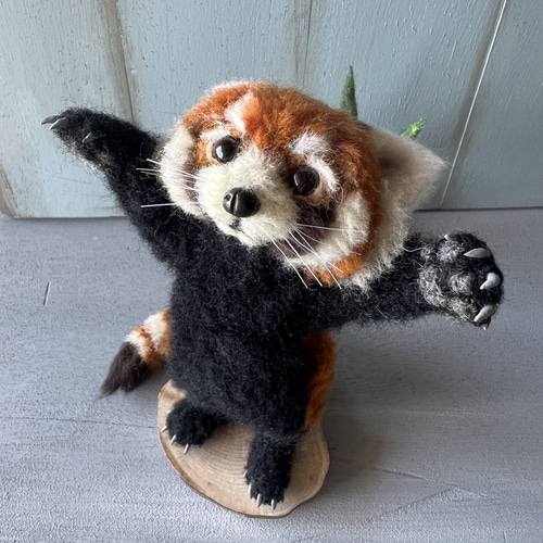 レッサーパンダ ぬいぐるみ 海外作家様 ハンドメイド テディベア　手作り　C 楽天市場】【ふるさと納税】ぬいぐるみ 手作りキット レッサーパンダ 1