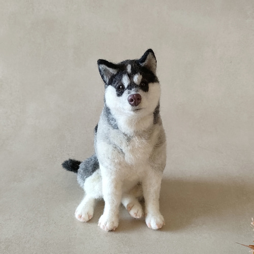 アラスカンマラミュートの子犬ちゃん 羊毛フェルト 羊毛わんこ 福や