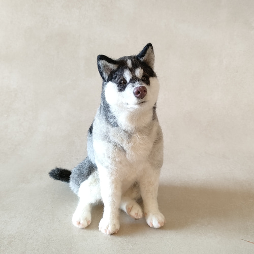 アラスカンマラミュートの子犬ちゃん 羊毛フェルト 羊毛わんこ 福や