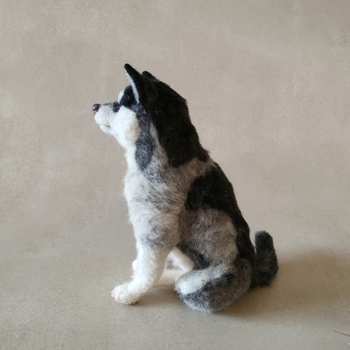 アラスカンマラミュートの子犬ちゃん 羊毛フェルト 羊毛わんこ 福や