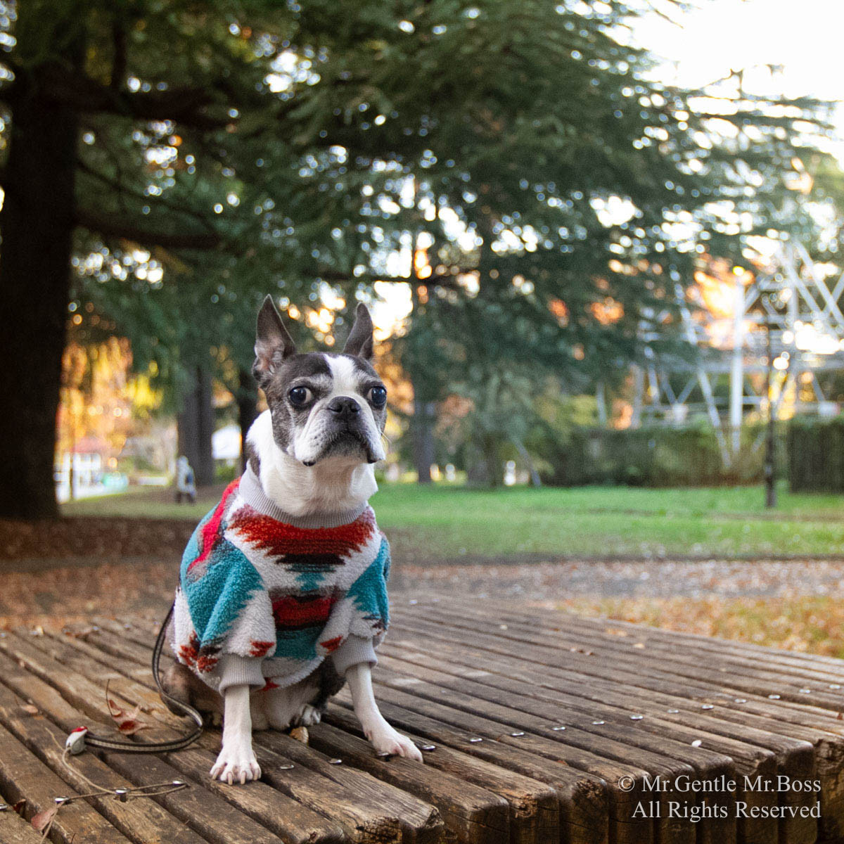 ネイティブアメリカン Navojo模様 フリースPullover ターコイズブルー犬服 Native Americans