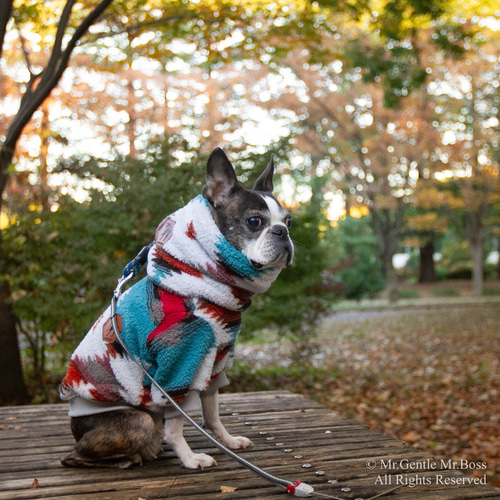 ネイティブアメリカン Navojo模様 フリースPullover ターコイズブルー