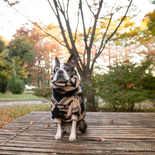 ネイティブアメリカン Tribal模様 フリースPullover モノトーン 犬服