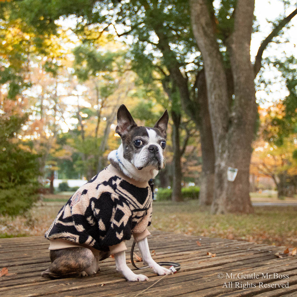 ネイティブアメリカン Tribal模様 フリースPullover モノトーン 犬服
