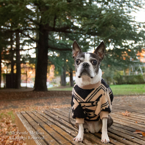 ネイティブアメリカン Tribal模様 フリースPullover モノトーン 犬服