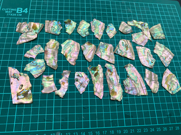 アワビ貝 30枚セット 螺鈿細工 ハンドメイド ハンドクラフト ギターの