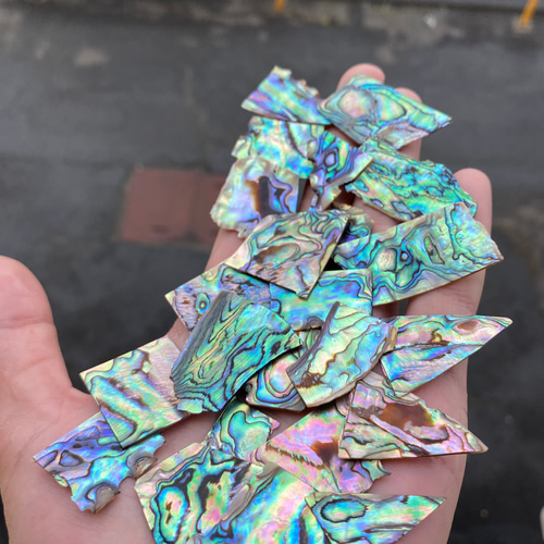 アワビ貝 アバロン貝 20枚セット 螺鈿細工 ハンドメイド ハンド