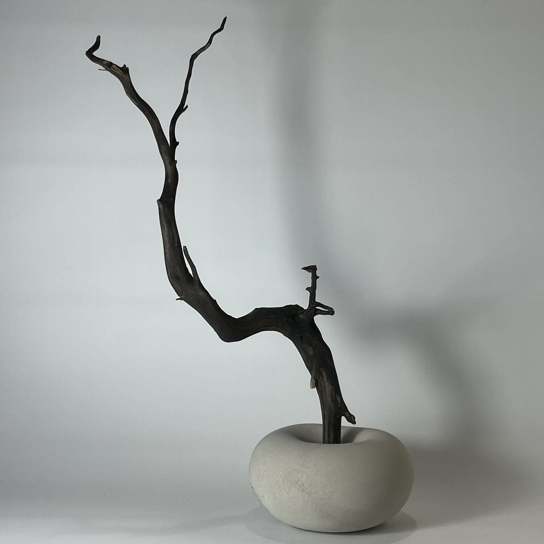 石と木のアート【送料無料】mr-18