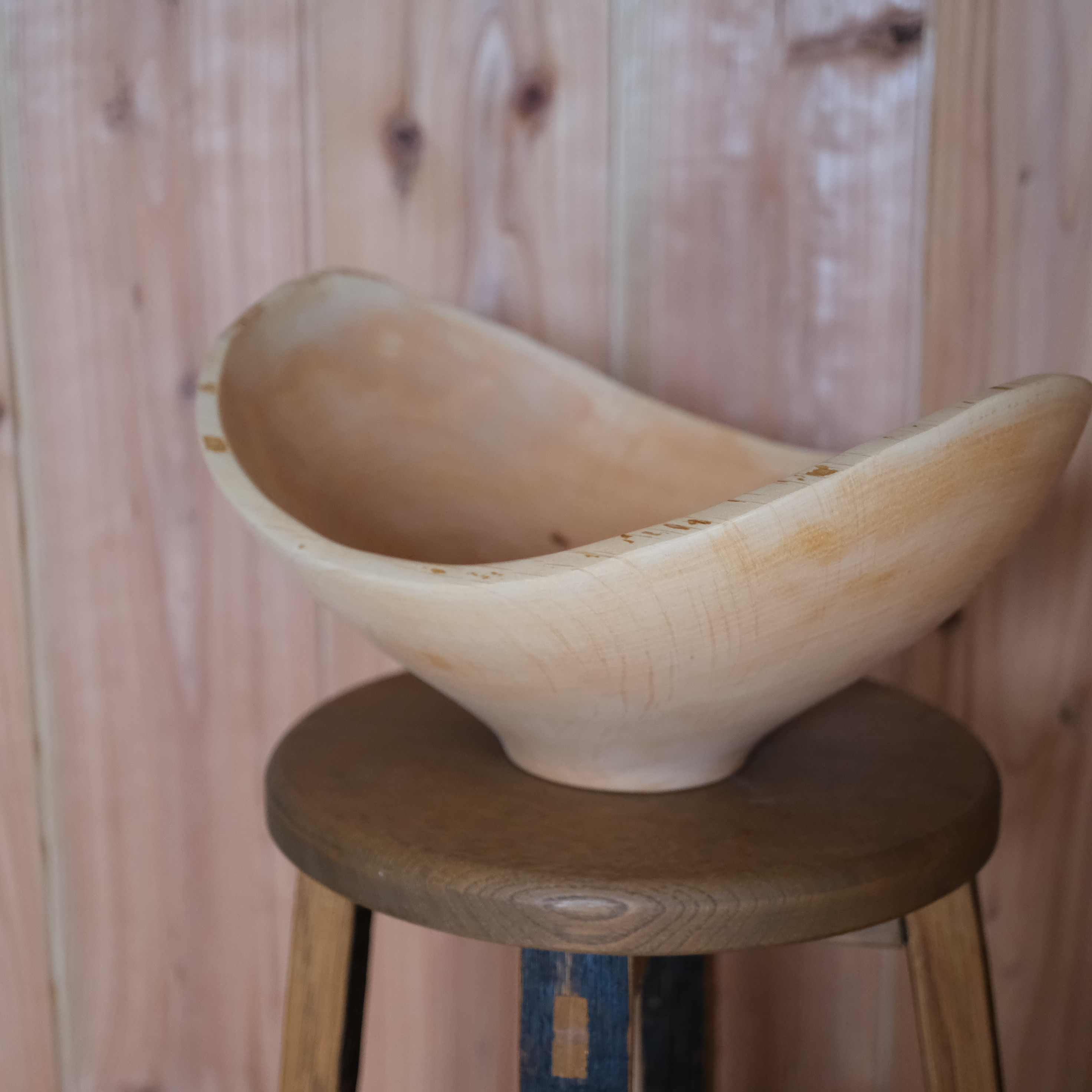 ハンノキのナチュラルエッジボウル〈ガラスコーティング〉【v1502】