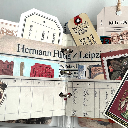 おすそ分けファイル ノート Nefertari 通販 20259638｜Creema(クリーマ)