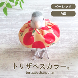 トリザベスカラー】MSサイズ エリザベスカラー インコ 鳥 リード