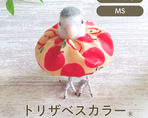 トリザベスカラー】MSサイズ エリザベスカラー インコ 鳥 リード
