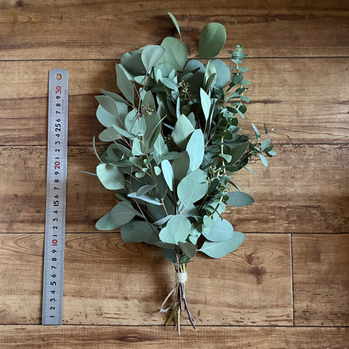 受注後制作】ユーカリ スワッグ 37cm ＊ ユーカリ 3種類 スワッグ