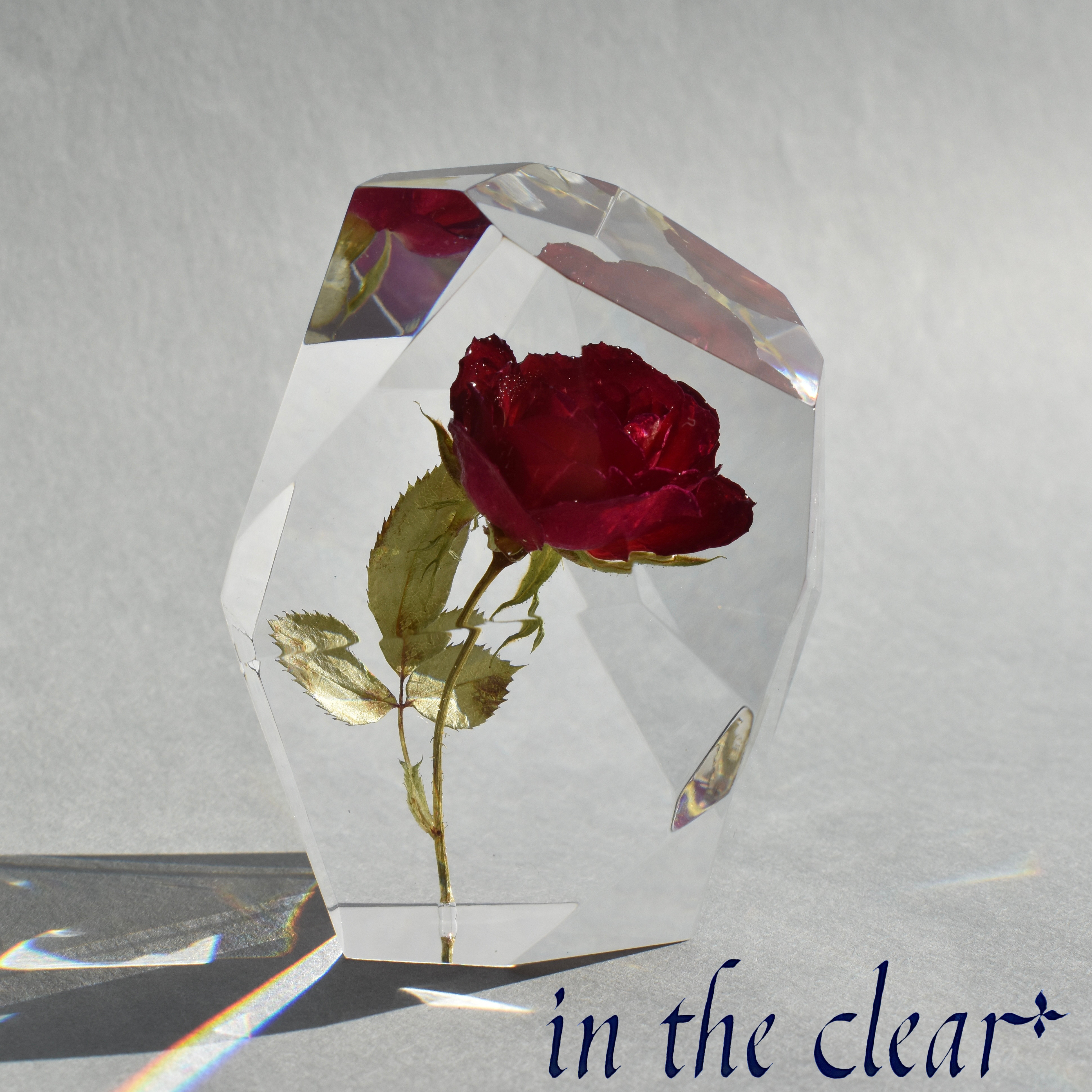 植物標本　薔薇　赤　レジン　鉱石型