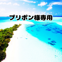 さら様 ぷっくり文字 うちわ文字 A3データオーダー その他素材 ローズ