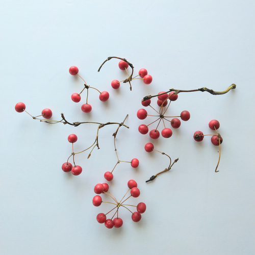 サンキライ(トップ) ドライフラワー nyao-mery 通販 20263760｜Creema